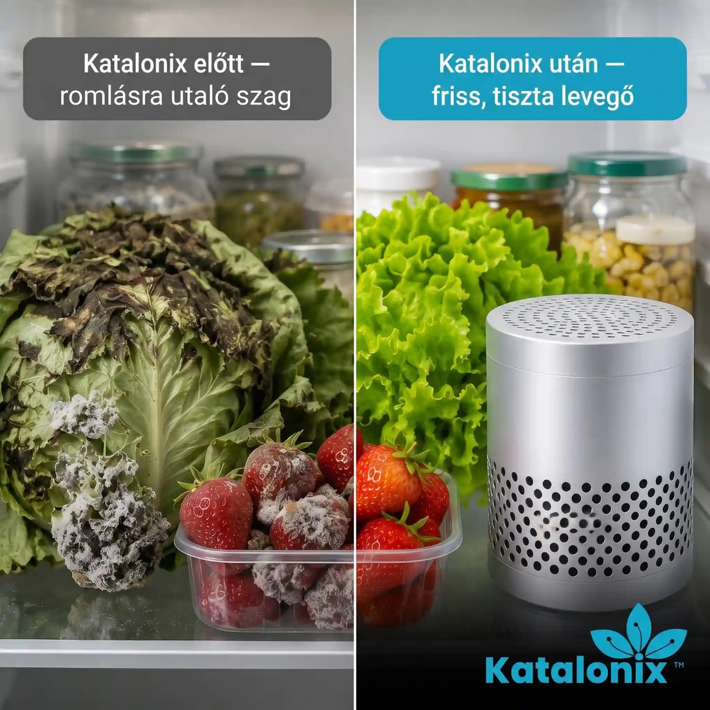 Katalonix Box – 10 évig működő nanokatalitikus szagtalanító hűtőbe, autóba, cipőtárolóba